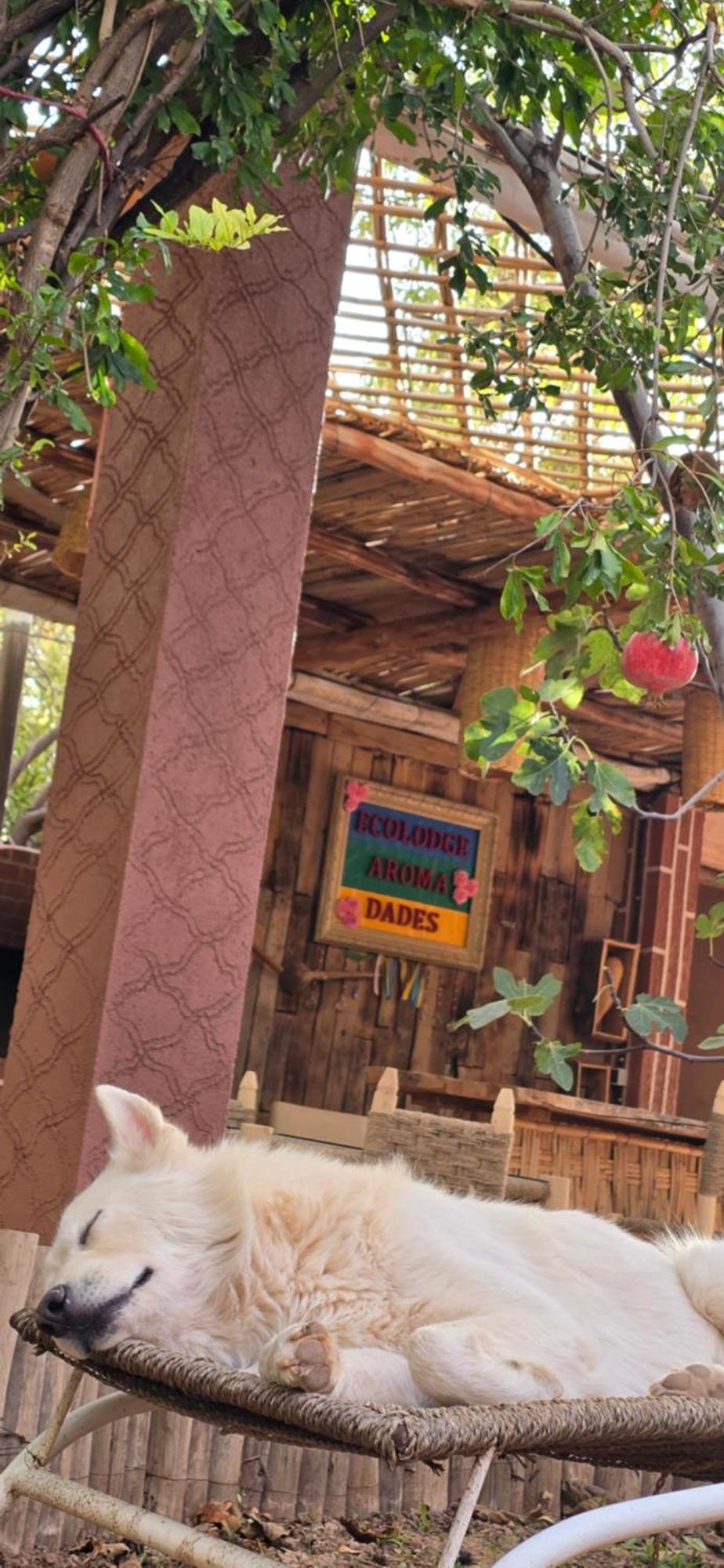 Ecolodge Aroma Dades El Hart Eksteriør bilde